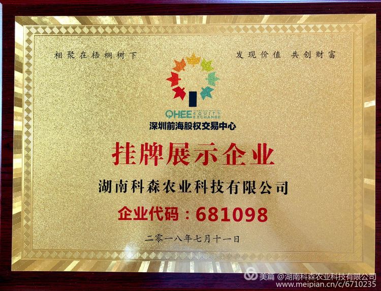 1541560934431565.jpg 股权代码.jpg